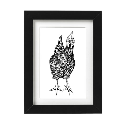 Curious Chicken Wall Art Print