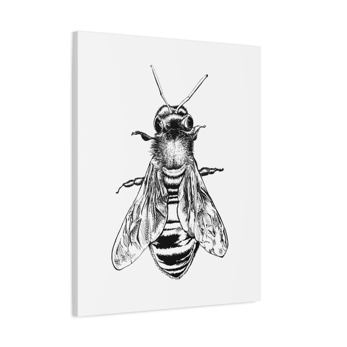 Bee Illustration Matte Canvas Print — Black & White Stretched Wall Art