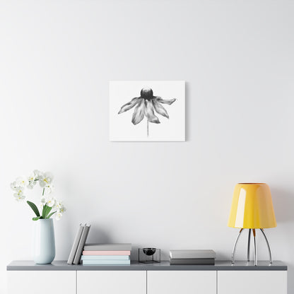 Black and White Coneflower Canvas Print — Minimal Botanical Wall Art, Matte Stretched 1.25"
