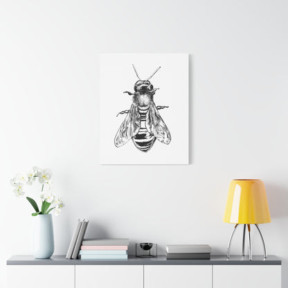Bee Illustration Matte Canvas Print — Black & White Stretched Wall Art