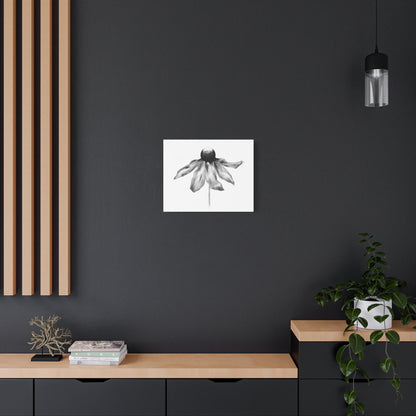 Black and White Coneflower Canvas Print — Minimal Botanical Wall Art, Matte Stretched 1.25"