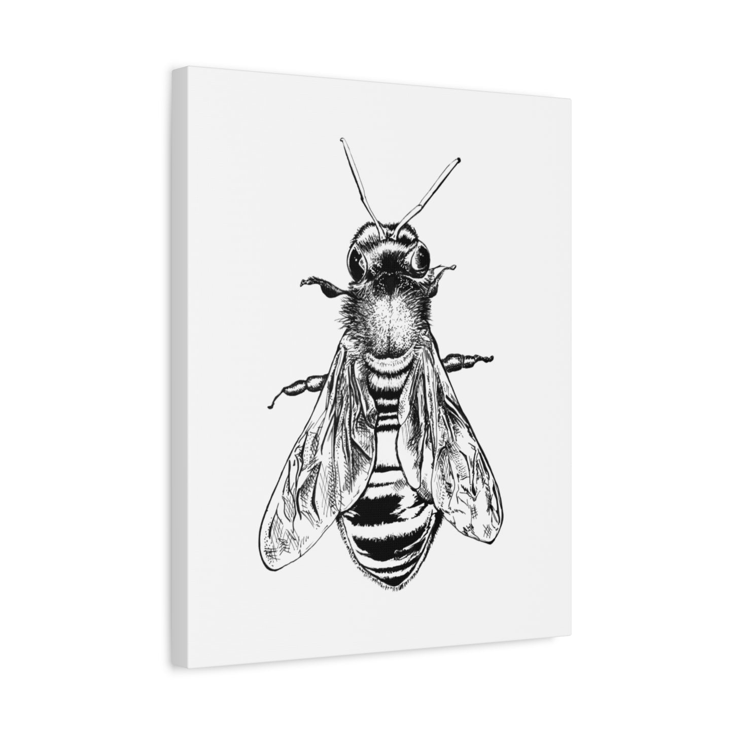 Bee Illustration Matte Canvas Print — Black & White Stretched Wall Art