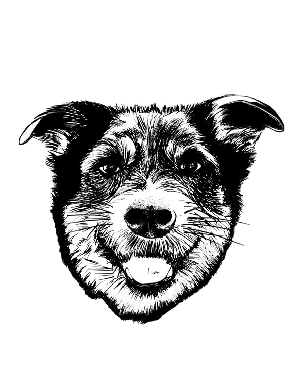 Border Collie Art Print