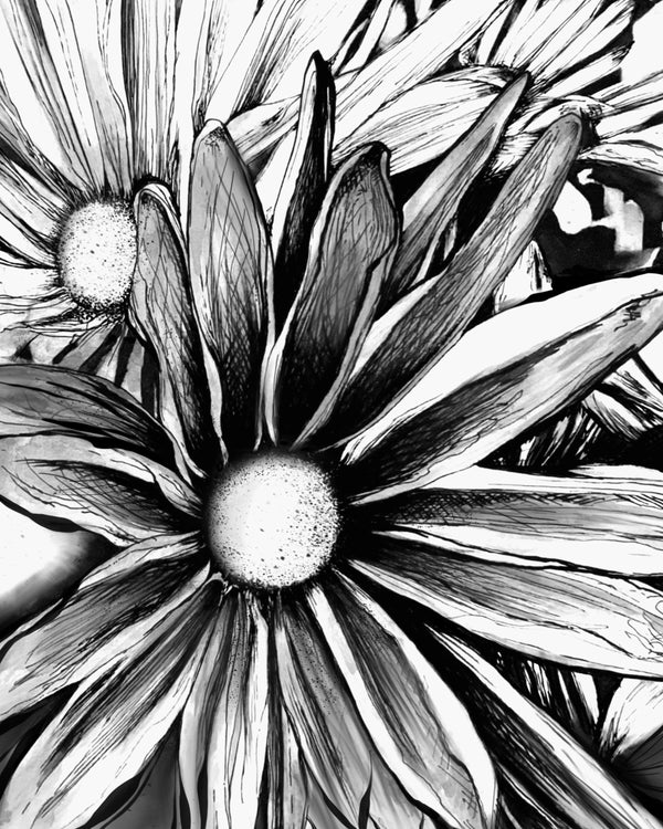 Daisies Wall Art Print