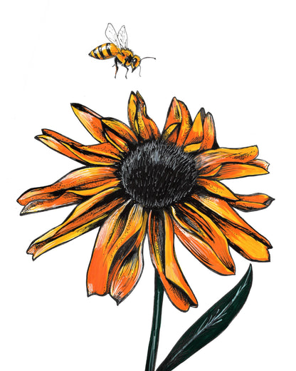Bee to black-eyed Susan Art Print