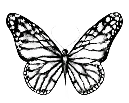 Butterfly Print