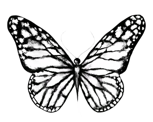 Butterfly Print