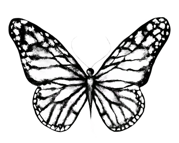 Butterfly Print