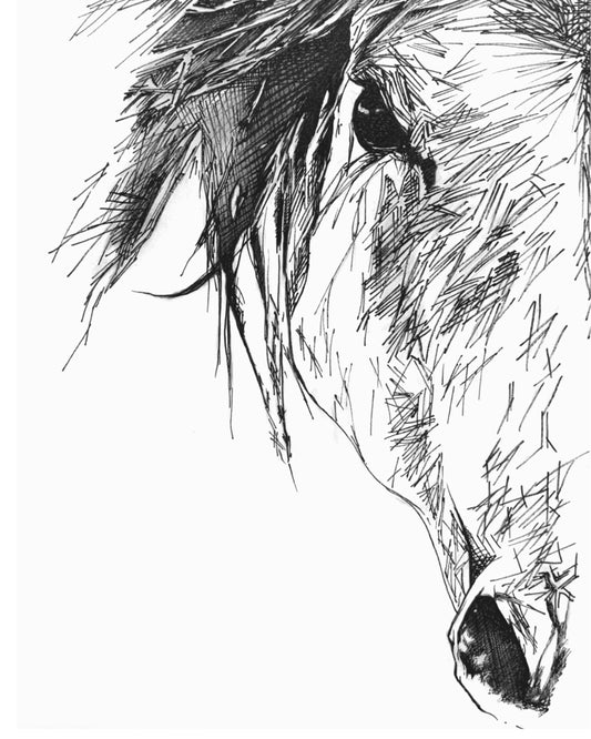 Horse Line Art Wall Art Print