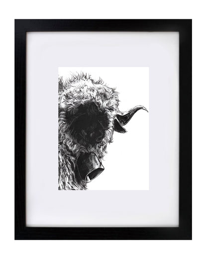 Black Nose Sheep Art Print