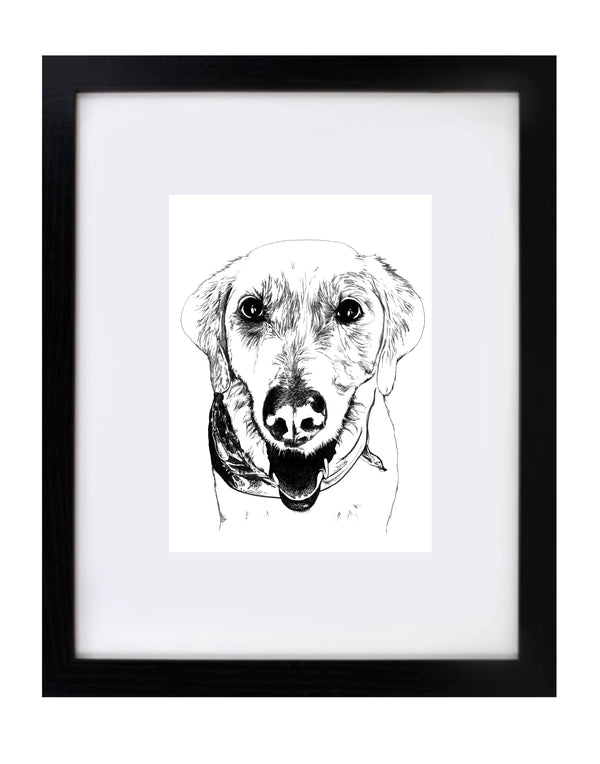 Labrador Retriever Art Print