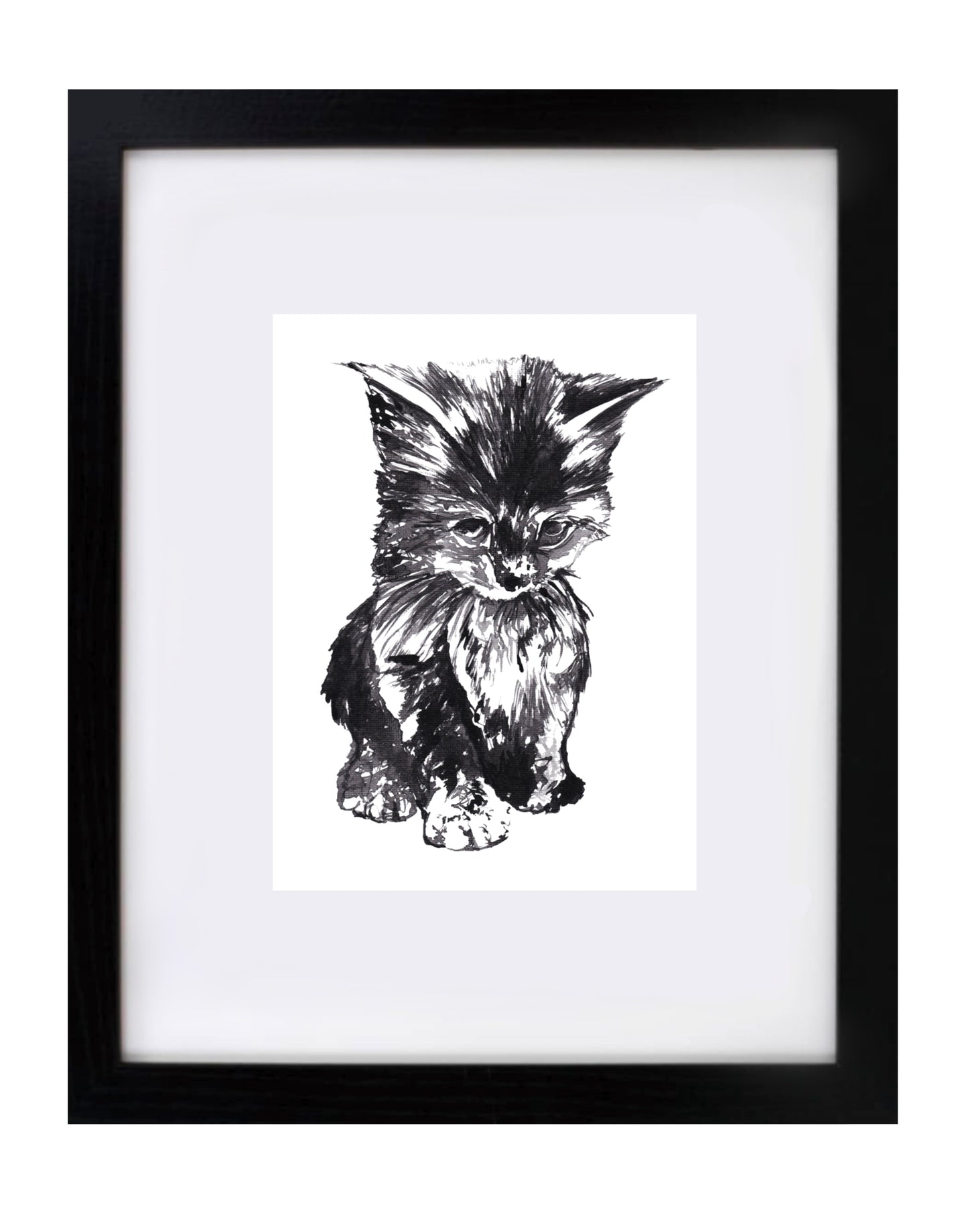 Kitten Art Print