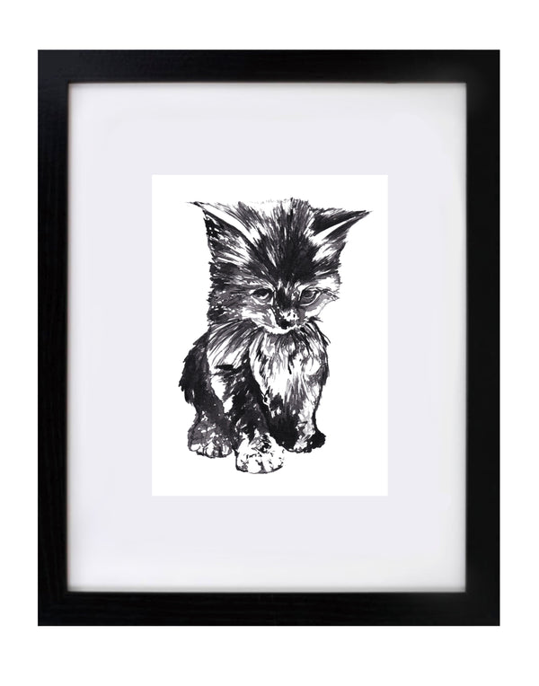 Kitten Art Print