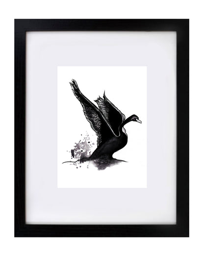 Swan Art Print