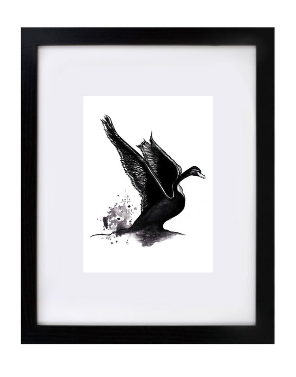 Swan Art Print