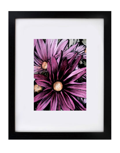 Pink Daisies Art Print