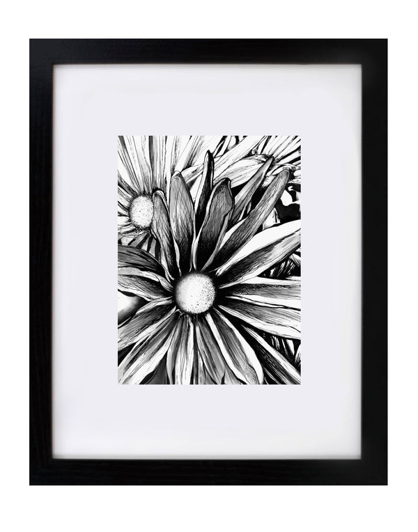 Daisies Wall Art Print