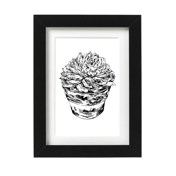 Potted Succulent Wall Art Print