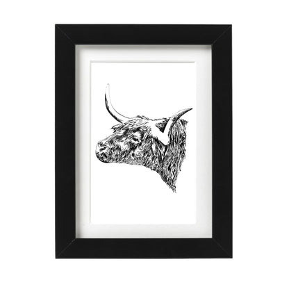 Highland Bull Art Print