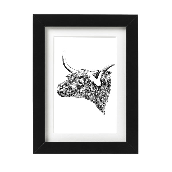 Highland Bull Art Print