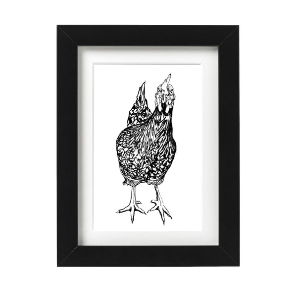 Curious Chicken Wall Art Print