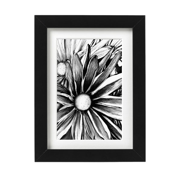 Daisies Wall Art Print