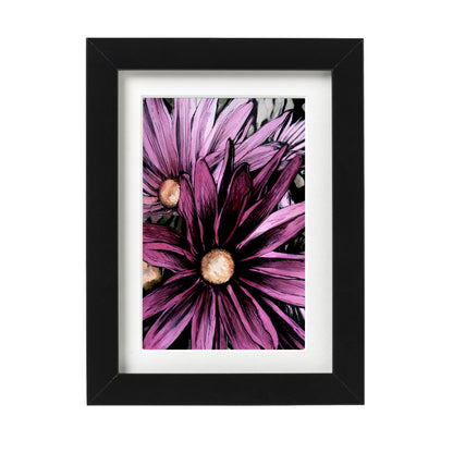 Pink Daisies Art Print