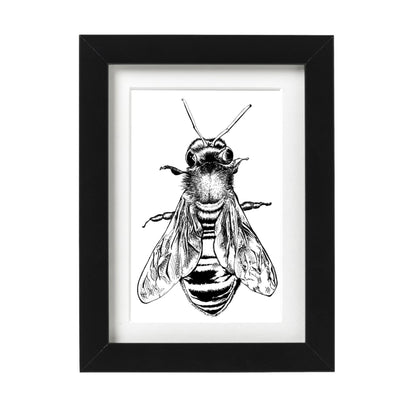 Honey Bee Art Print