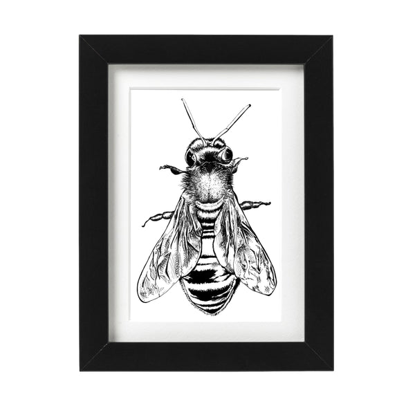 Honey Bee Art Print
