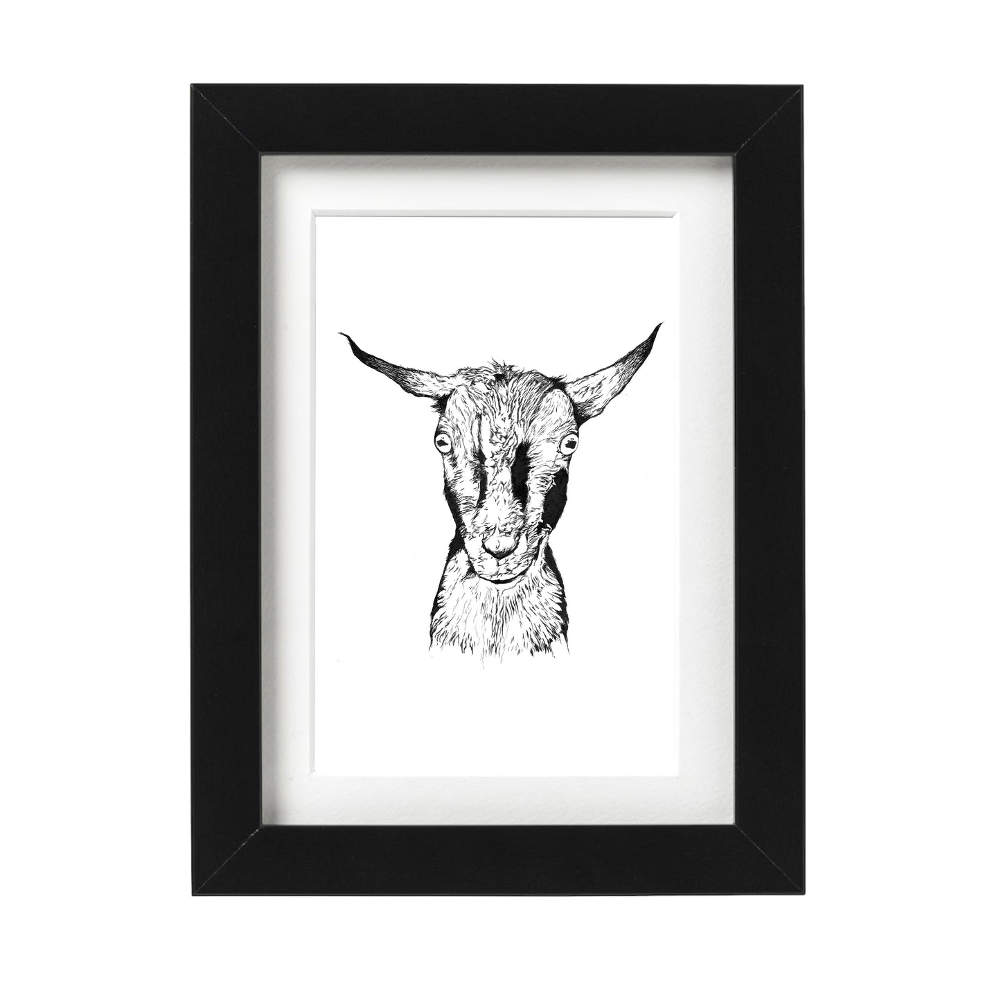 Nigerian Dwarf Goat Art Print