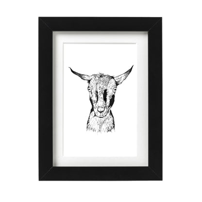 Nigerian Dwarf Goat Art Print