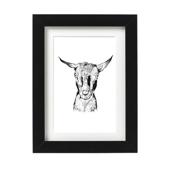 Nigerian Dwarf Goat Art Print