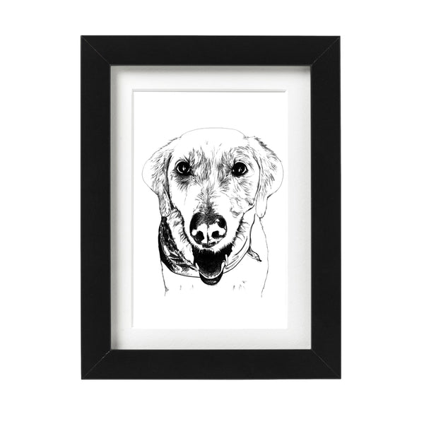 Labrador Retriever Art Print