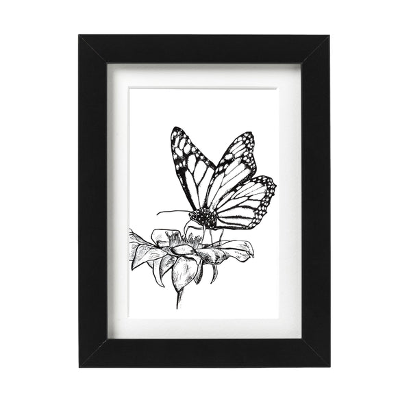 Butterfly on Flower Print
