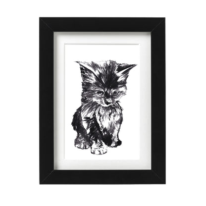 Kitten Art Print