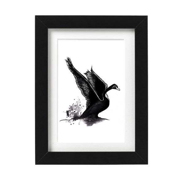 Swan Art Print