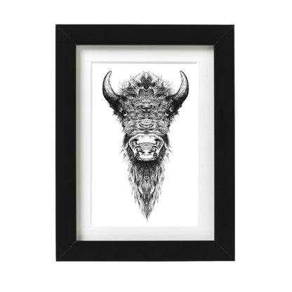 Buffalo Art Print