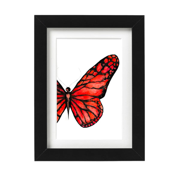 Orange Butterfly Art Print