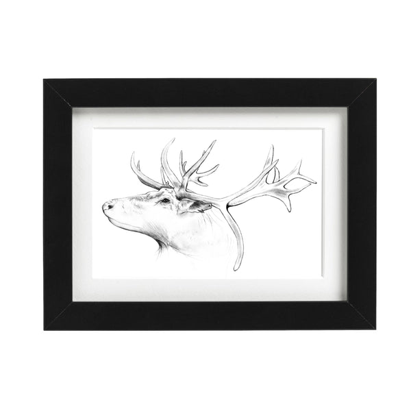 reindeer art