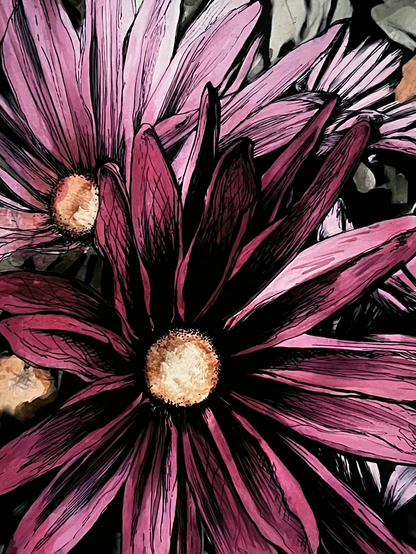 Pink Daisies Art Print