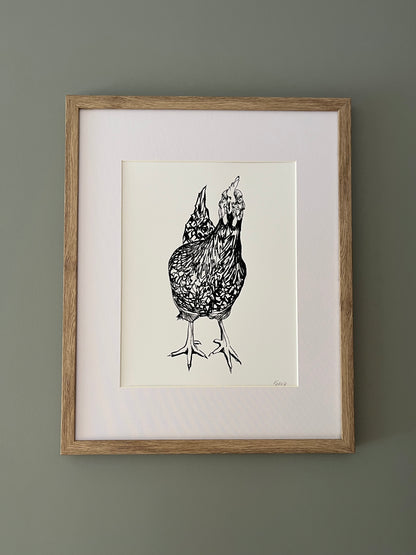 Curious Chicken Wall Art Print