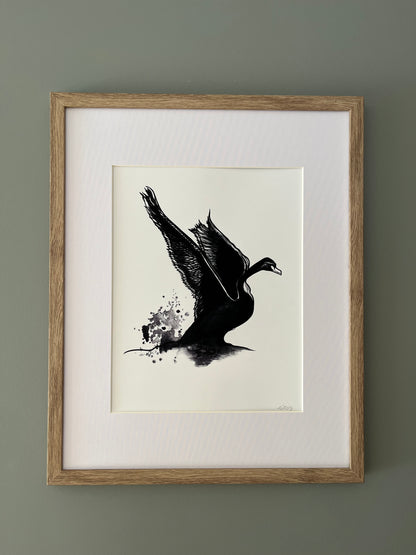 Swan Art Print
