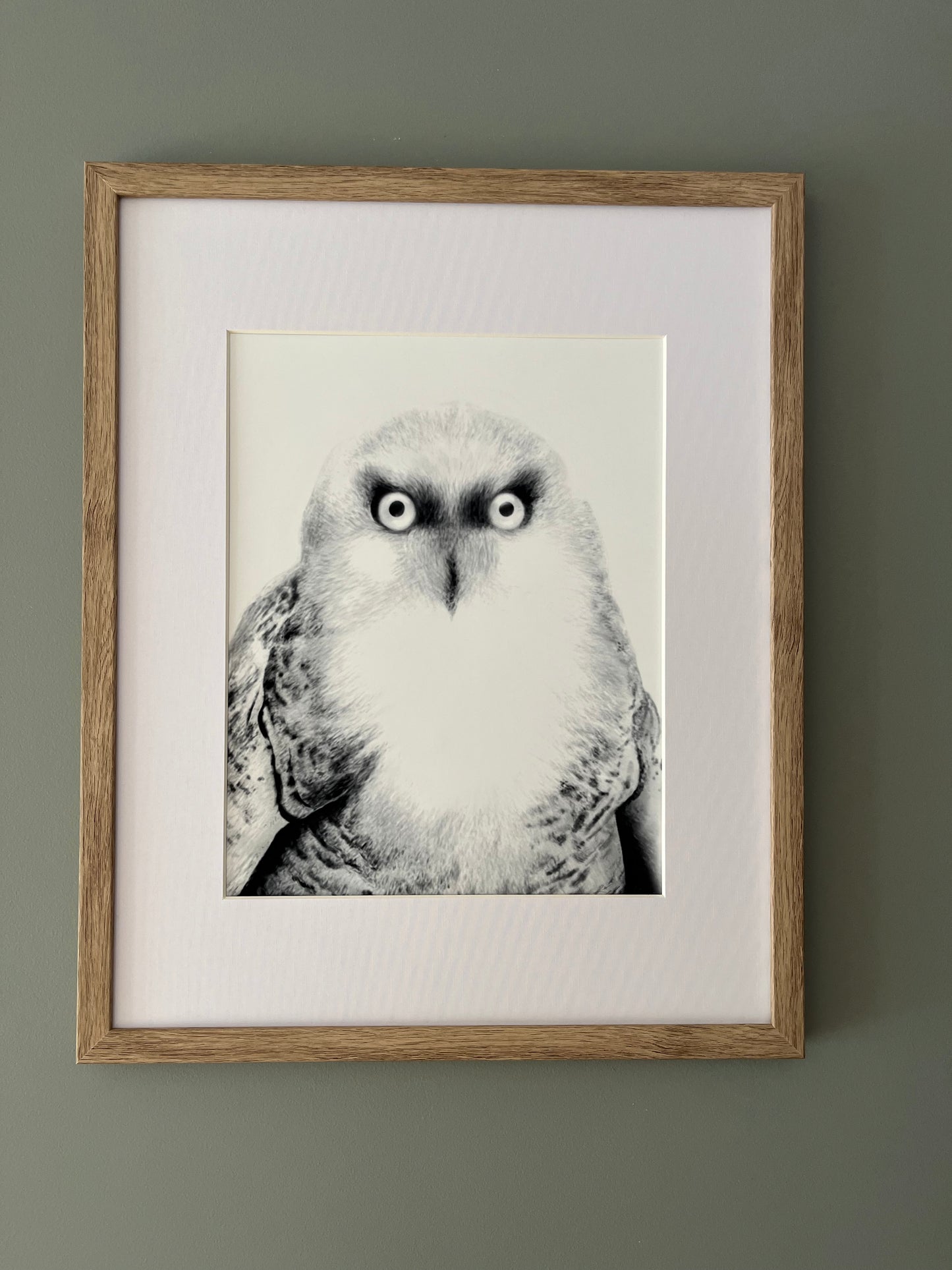 Snow Owl Art Print