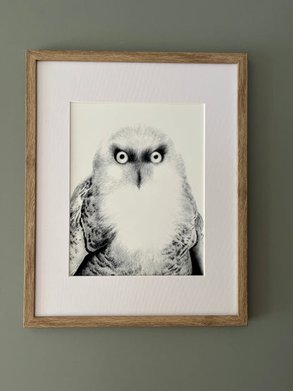 Snow Owl Art Print