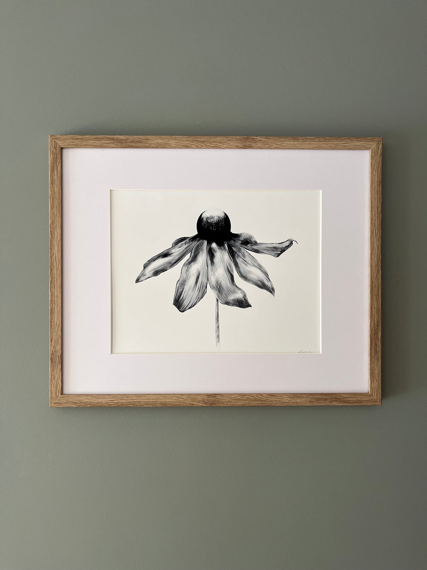 Black Eyed Susan Art Print