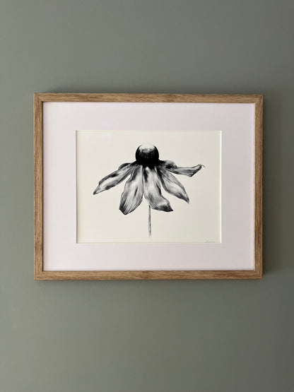 Black Eyed Susan Art Print