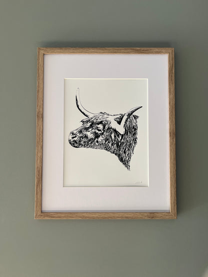 Highland Bull Art Print