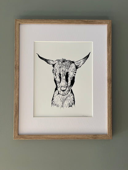 Nigerian Dwarf Goat Art Print