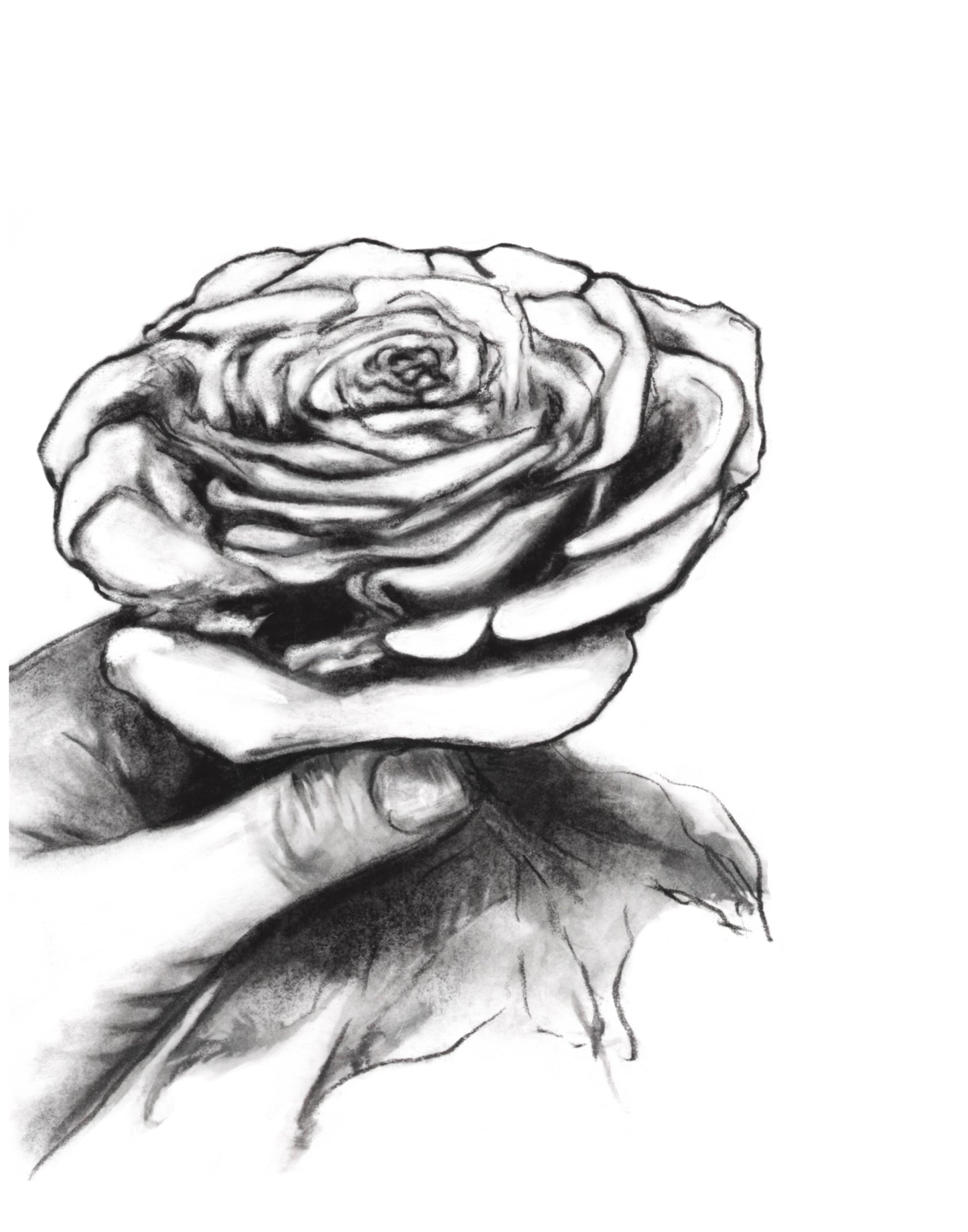 Rose in Hand Art Print