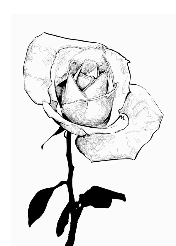 Black and White Single Rose Art Print